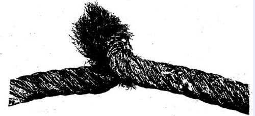 起重机械用钢丝绳的报废（一）